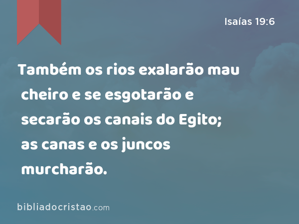 Também os rios exalarão mau cheiro e se esgotarão e secarão os canais do Egito; as canas e os juncos murcharão. - Isaías 19:6