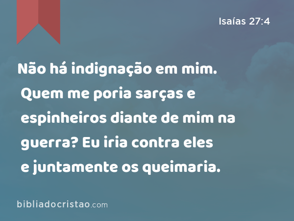 Não há indignação em mim. Quem me poria sarças e espinheiros diante de mim na guerra? Eu iria contra eles e juntamente os queimaria. - Isaías 27:4