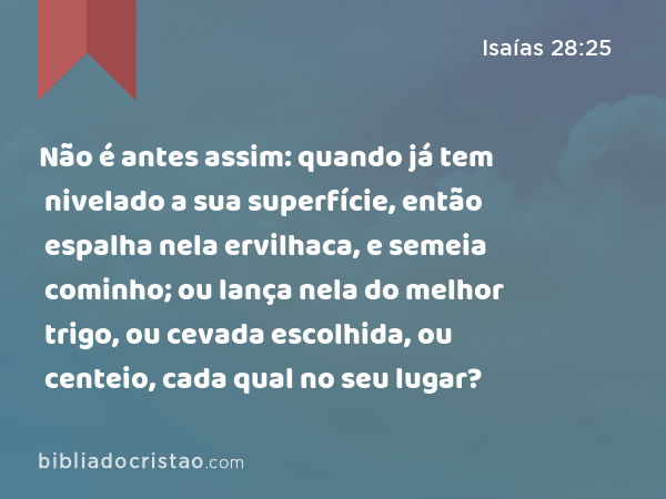 Não é antes assim: quando já tem nivelado a sua superfície, então espalha nela ervilhaca, e semeia cominho; ou lança nela do melhor trigo, ou cevada escolhida, ou centeio, cada qual no seu lugar? - Isaías 28:25