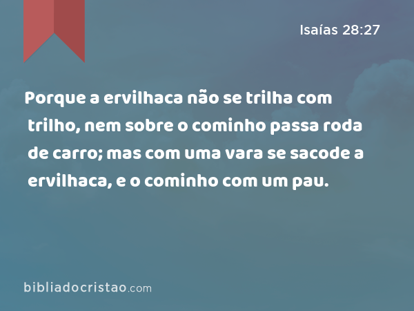 Porque a ervilhaca não se trilha com trilho, nem sobre o cominho passa roda de carro; mas com uma vara se sacode a ervilhaca, e o cominho com um pau. - Isaías 28:27