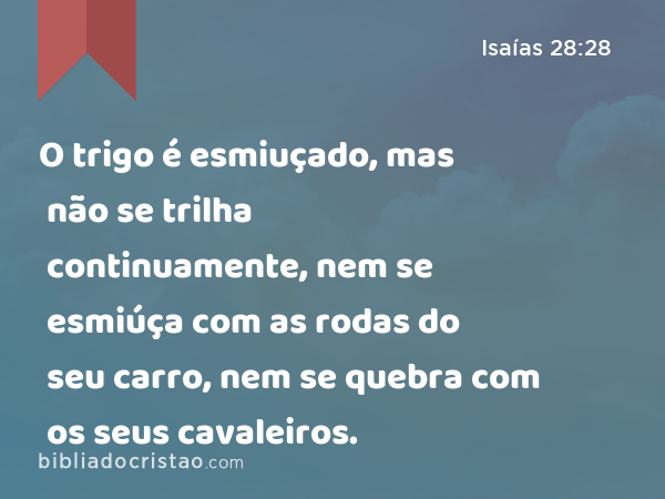 O trigo é esmiuçado, mas não se trilha continuamente, nem se esmiúça com as rodas do seu carro, nem se quebra com os seus cavaleiros. - Isaías 28:28