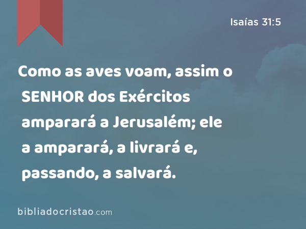 Como as aves voam, assim o SENHOR dos Exércitos amparará a Jerusalém; ele a amparará, a livrará e, passando, a salvará. - Isaías 31:5