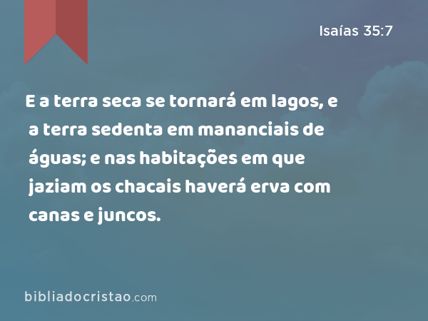 E a terra seca se tornará em lagos, e a terra sedenta em mananciais de águas; e nas habitações em que jaziam os chacais haverá erva com canas e juncos. - Isaías 35:7