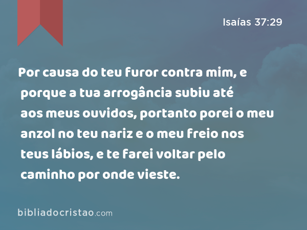 Por causa do teu furor contra mim, e porque a tua arrogância subiu até aos meus ouvidos, portanto porei o meu anzol no teu nariz e o meu freio nos teus lábios, e te farei voltar pelo caminho por onde vieste. - Isaías 37:29