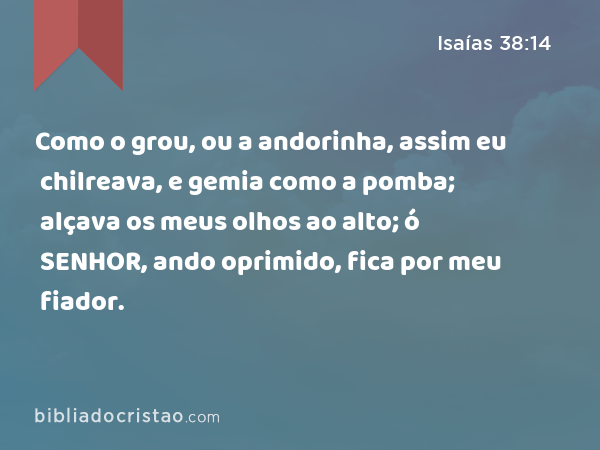 Como o grou, ou a andorinha, assim eu chilreava, e gemia como a pomba; alçava os meus olhos ao alto; ó SENHOR, ando oprimido, fica por meu fiador. - Isaías 38:14