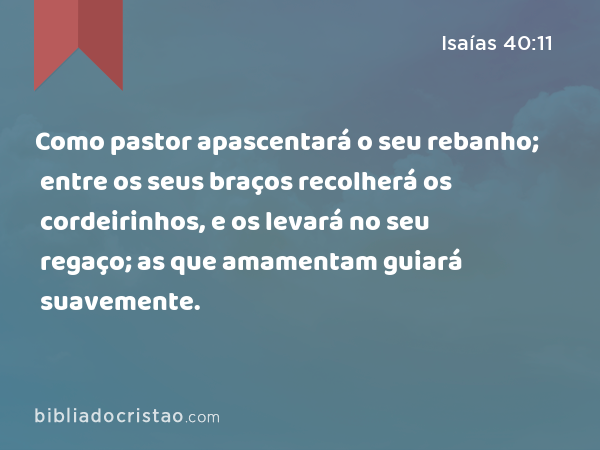 Como pastor apascentará o seu rebanho; entre os seus braços recolherá os cordeirinhos, e os levará no seu regaço; as que amamentam guiará suavemente. - Isaías 40:11