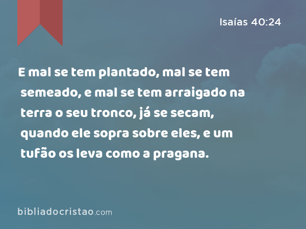 E mal se tem plantado, mal se tem semeado, e mal se tem arraigado na terra o seu tronco, já se secam, quando ele sopra sobre eles, e um tufão os leva como a pragana. - Isaías 40:24