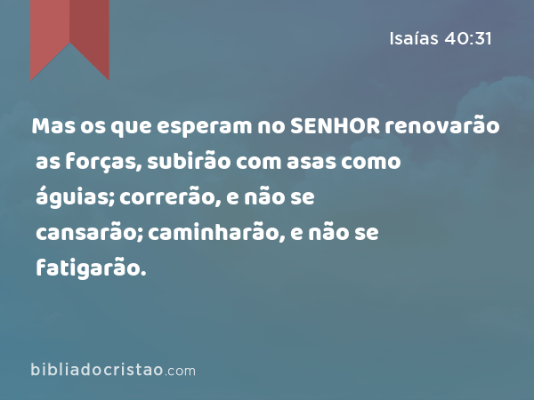 Mas os que esperam no SENHOR renovarão as forças, subirão com asas como águias; correrão, e não se cansarão; caminharão, e não se fatigarão. - Isaías 40:31