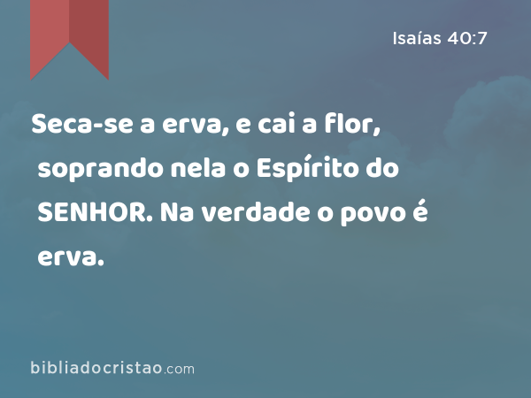 Seca-se a erva, e cai a flor, soprando nela o Espírito do SENHOR. Na verdade o povo é erva. - Isaías 40:7