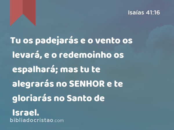 Tu os padejarás e o vento os levará, e o redemoinho os espalhará; mas tu te alegrarás no SENHOR e te gloriarás no Santo de Israel. - Isaías 41:16