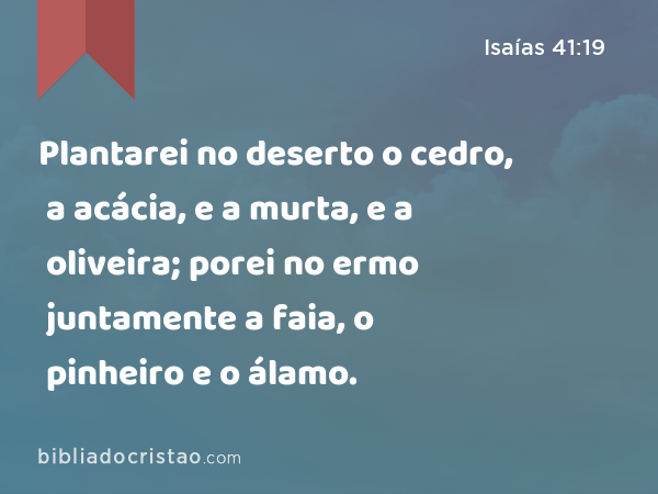 Plantarei no deserto o cedro, a acácia, e a murta, e a oliveira; porei no ermo juntamente a faia, o pinheiro e o álamo. - Isaías 41:19