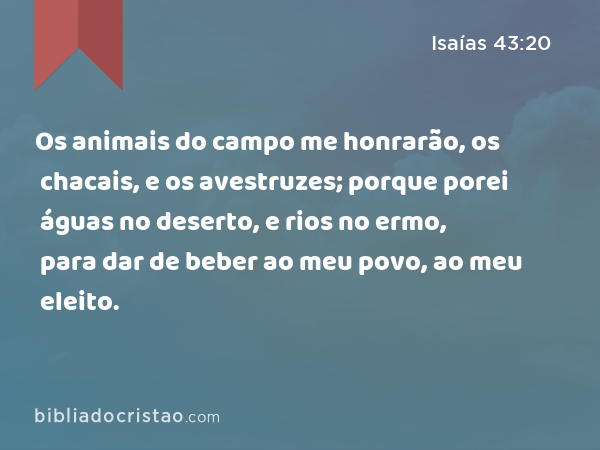 Os animais do campo me honrarão, os chacais, e os avestruzes; porque porei águas no deserto, e rios no ermo, para dar de beber ao meu povo, ao meu eleito. - Isaías 43:20