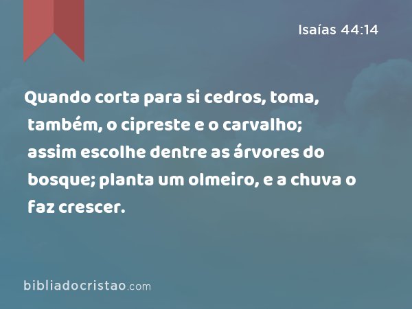 Quando corta para si cedros, toma, também, o cipreste e o carvalho; assim escolhe dentre as árvores do bosque; planta um olmeiro, e a chuva o faz crescer. - Isaías 44:14