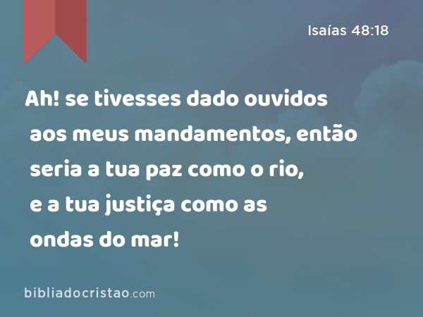 Ah! se tivesses dado ouvidos aos meus mandamentos, então seria a tua paz como o rio, e a tua justiça como as ondas do mar! - Isaías 48:18