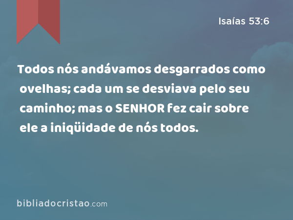 Todos nós andávamos desgarrados como ovelhas; cada um se desviava pelo seu caminho; mas o SENHOR fez cair sobre ele a iniqüidade de nós todos. - Isaías 53:6