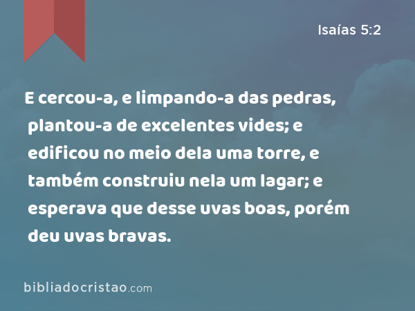 E cercou-a, e limpando-a das pedras, plantou-a de excelentes vides; e edificou no meio dela uma torre, e também construiu nela um lagar; e esperava que desse uvas boas, porém deu uvas bravas. - Isaías 5:2