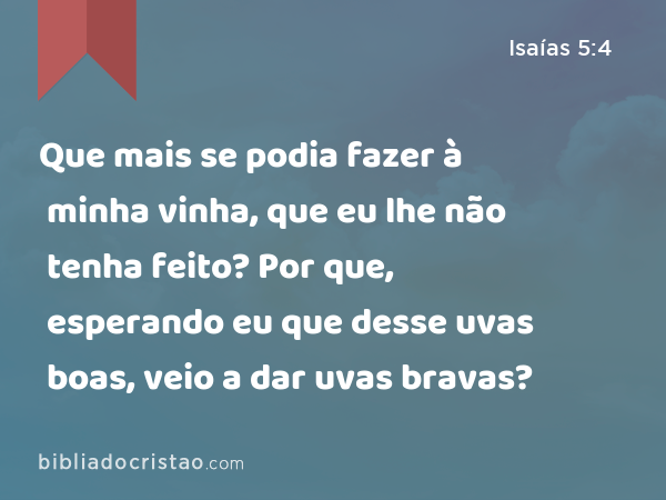 Que mais se podia fazer à minha vinha, que eu lhe não tenha feito? Por que, esperando eu que desse uvas boas, veio a dar uvas bravas? - Isaías 5:4