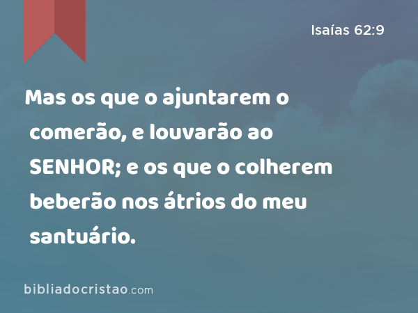 Mas os que o ajuntarem o comerão, e louvarão ao SENHOR; e os que o colherem beberão nos átrios do meu santuário. - Isaías 62:9