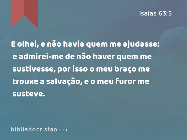 E olhei, e não havia quem me ajudasse; e admirei-me de não haver quem me sustivesse, por isso o meu braço me trouxe a salvação, e o meu furor me susteve. - Isaías 63:5