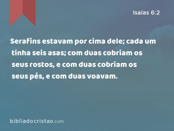 Serafins estavam por cima dele; cada um tinha seis asas; com duas cobriam os seus rostos, e com duas cobriam os seus pés, e com duas voavam. - Isaías 6:2