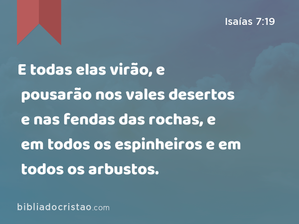 E todas elas virão, e pousarão nos vales desertos e nas fendas das rochas, e em todos os espinheiros e em todos os arbustos. - Isaías 7:19