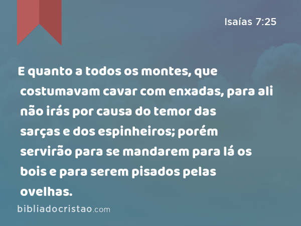 E quanto a todos os montes, que costumavam cavar com enxadas, para ali não irás por causa do temor das sarças e dos espinheiros; porém servirão para se mandarem para lá os bois e para serem pisados pelas ovelhas. - Isaías 7:25