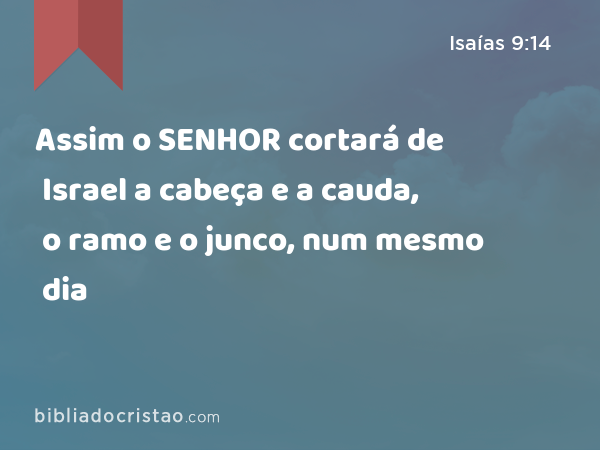 Assim o SENHOR cortará de Israel a cabeça e a cauda, o ramo e o junco, num mesmo dia - Isaías 9:14