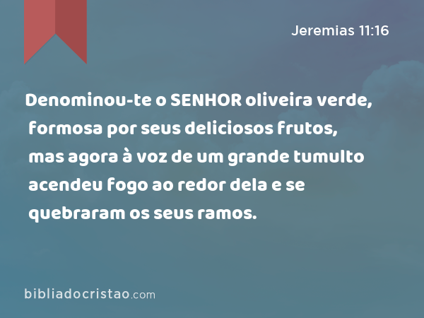 Denominou-te o SENHOR oliveira verde, formosa por seus deliciosos frutos, mas agora à voz de um grande tumulto acendeu fogo ao redor dela e se quebraram os seus ramos. - Jeremias 11:16