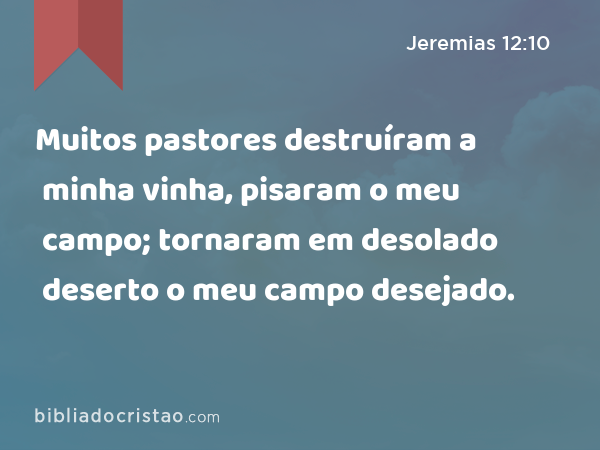 Muitos pastores destruíram a minha vinha, pisaram o meu campo; tornaram em desolado deserto o meu campo desejado. - Jeremias 12:10