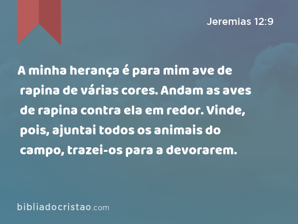 A minha herança é para mim ave de rapina de várias cores. Andam as aves de rapina contra ela em redor. Vinde, pois, ajuntai todos os animais do campo, trazei-os para a devorarem. - Jeremias 12:9