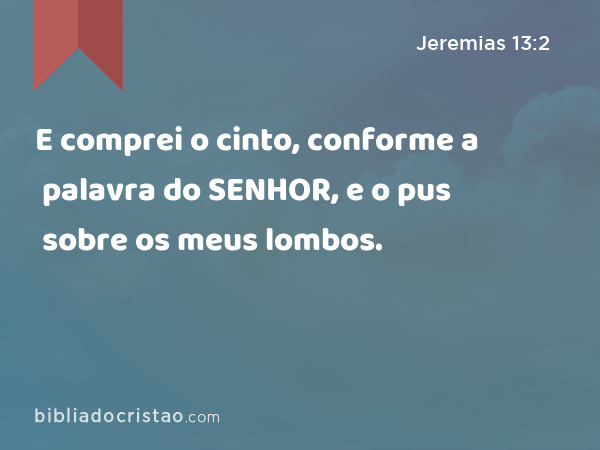 E comprei o cinto, conforme a palavra do SENHOR, e o pus sobre os meus lombos. - Jeremias 13:2