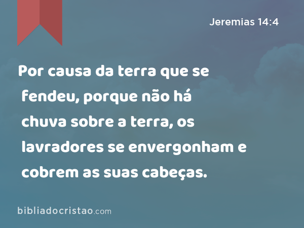 Por causa da terra que se fendeu, porque não há chuva sobre a terra, os lavradores se envergonham e cobrem as suas cabeças. - Jeremias 14:4