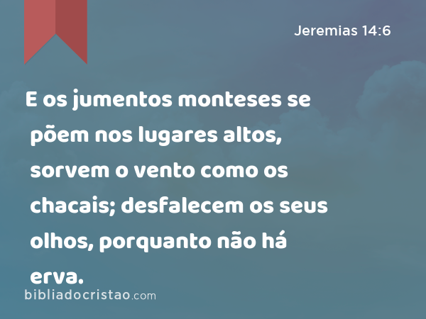 E os jumentos monteses se põem nos lugares altos, sorvem o vento como os chacais; desfalecem os seus olhos, porquanto não há erva. - Jeremias 14:6