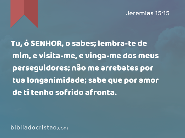 Tu, ó SENHOR, o sabes; lembra-te de mim, e visita-me, e vinga-me dos meus perseguidores; não me arrebates por tua longanimidade; sabe que por amor de ti tenho sofrido afronta. - Jeremias 15:15