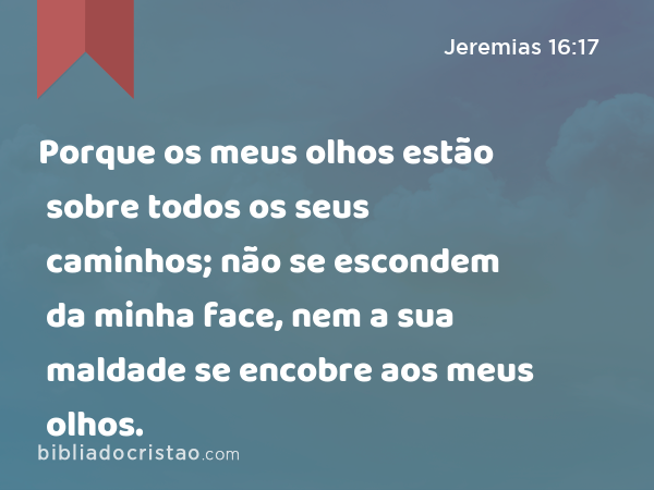 Porque os meus olhos estão sobre todos os seus caminhos; não se escondem da minha face, nem a sua maldade se encobre aos meus olhos. - Jeremias 16:17