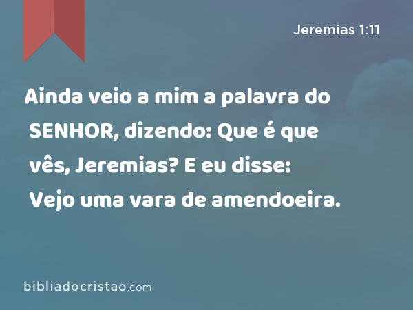 Ainda veio a mim a palavra do SENHOR, dizendo: Que é que vês, Jeremias? E eu disse: Vejo uma vara de amendoeira. - Jeremias 1:11