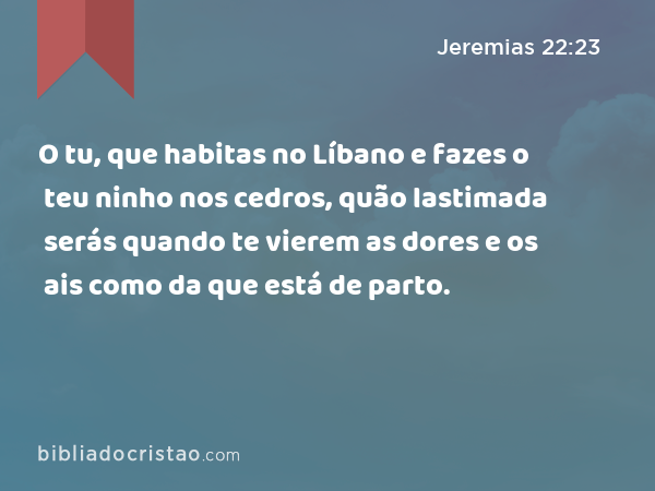 O tu, que habitas no Líbano e fazes o teu ninho nos cedros, quão lastimada serás quando te vierem as dores e os ais como da que está de parto. - Jeremias 22:23