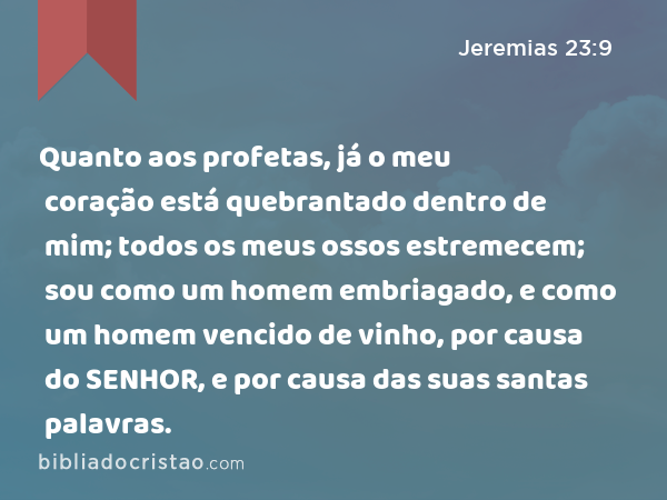 Quanto aos profetas, já o meu coração está quebrantado dentro de mim; todos os meus ossos estremecem; sou como um homem embriagado, e como um homem vencido de vinho, por causa do SENHOR, e por causa das suas santas palavras. - Jeremias 23:9