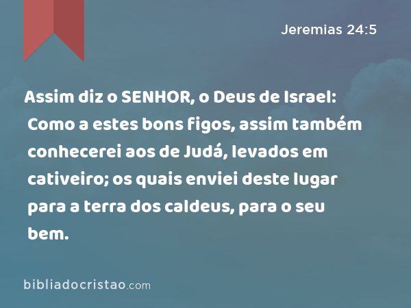 Assim diz o SENHOR, o Deus de Israel: Como a estes bons figos, assim também conhecerei aos de Judá, levados em cativeiro; os quais enviei deste lugar para a terra dos caldeus, para o seu bem. - Jeremias 24:5