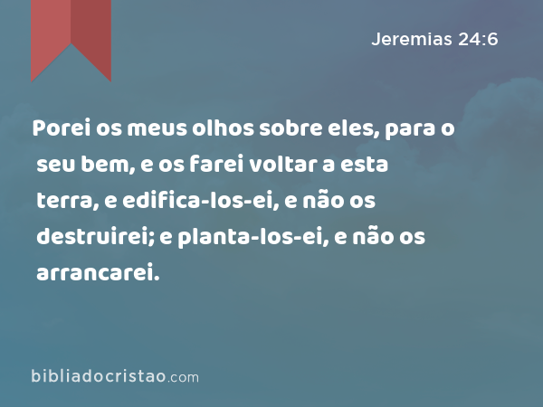 Porei os meus olhos sobre eles, para o seu bem, e os farei voltar a esta terra, e edifica-los-ei, e não os destruirei; e planta-los-ei, e não os arrancarei. - Jeremias 24:6