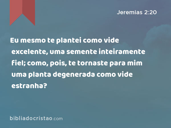 Eu mesmo te plantei como vide excelente, uma semente inteiramente fiel; como, pois, te tornaste para mim uma planta degenerada como vide estranha? - Jeremias 2:20