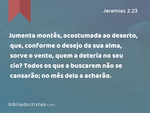 Jumenta montês, acostumada ao deserto, que, conforme o desejo da sua alma, sorve o vento, quem a deteria no seu cio? Todos os que a buscarem não se cansarão; no mês dela a acharão. - Jeremias 2:23