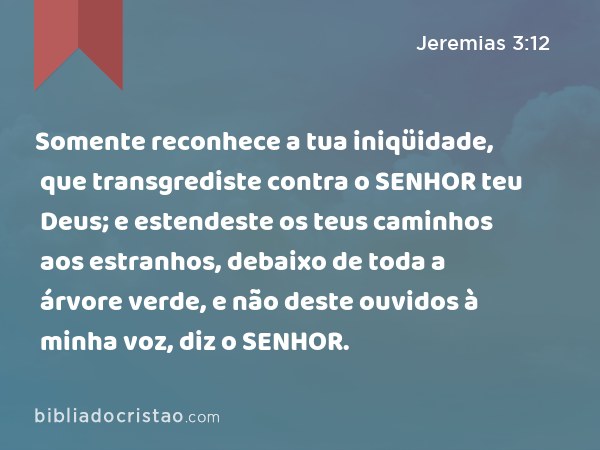 Somente reconhece a tua iniqüidade, que transgrediste contra o SENHOR teu Deus; e estendeste os teus caminhos aos estranhos, debaixo de toda a árvore verde, e não deste ouvidos à minha voz, diz o SENHOR. - Jeremias 3:12