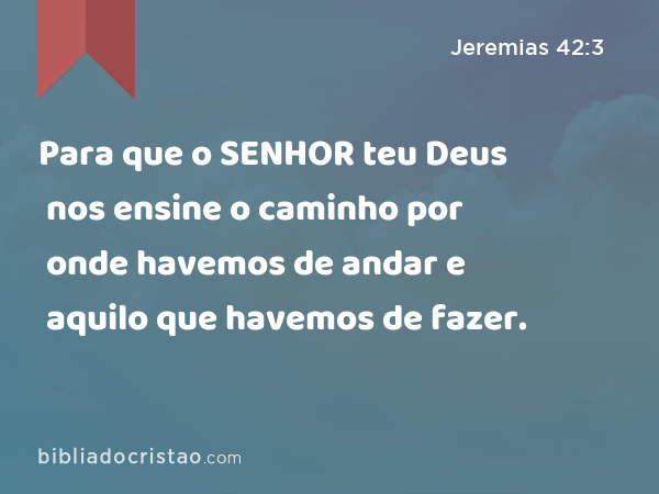 Para que o SENHOR teu Deus nos ensine o caminho por onde havemos de andar e aquilo que havemos de fazer. - Jeremias 42:3