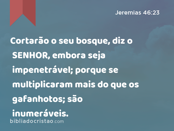 Cortarão o seu bosque, diz o SENHOR, embora seja impenetrável; porque se multiplicaram mais do que os gafanhotos; são inumeráveis. - Jeremias 46:23