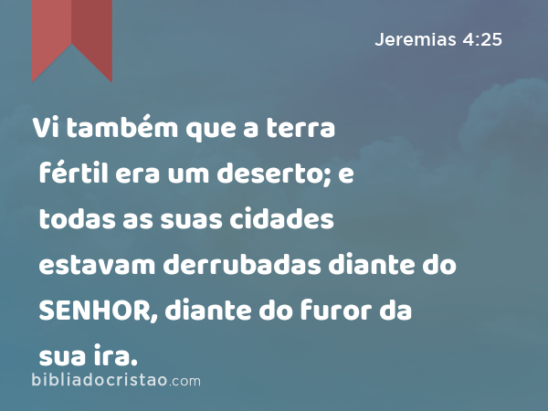 Vi também que a terra fértil era um deserto; e todas as suas cidades estavam derrubadas diante do SENHOR, diante do furor da sua ira. - Jeremias 4:25