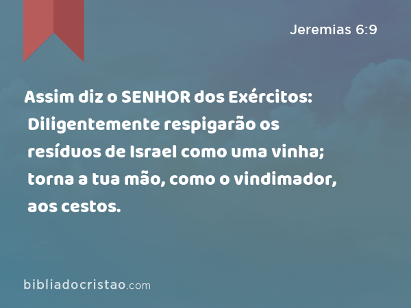 Assim diz o SENHOR dos Exércitos: Diligentemente respigarão os resíduos de Israel como uma vinha; torna a tua mão, como o vindimador, aos cestos. - Jeremias 6:9