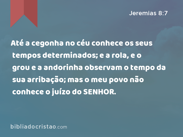 Até a cegonha no céu conhece os seus tempos determinados; e a rola, e o grou e a andorinha observam o tempo da sua arribação; mas o meu povo não conhece o juízo do SENHOR. - Jeremias 8:7