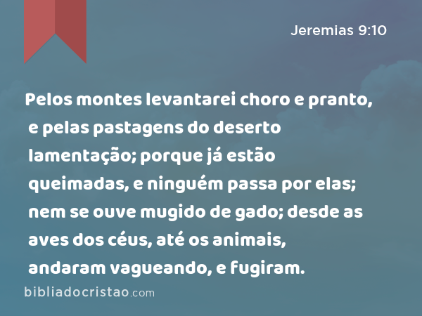 Pelos montes levantarei choro e pranto, e pelas pastagens do deserto lamentação; porque já estão queimadas, e ninguém passa por elas; nem se ouve mugido de gado; desde as aves dos céus, até os animais, andaram vagueando, e fugiram. - Jeremias 9:10