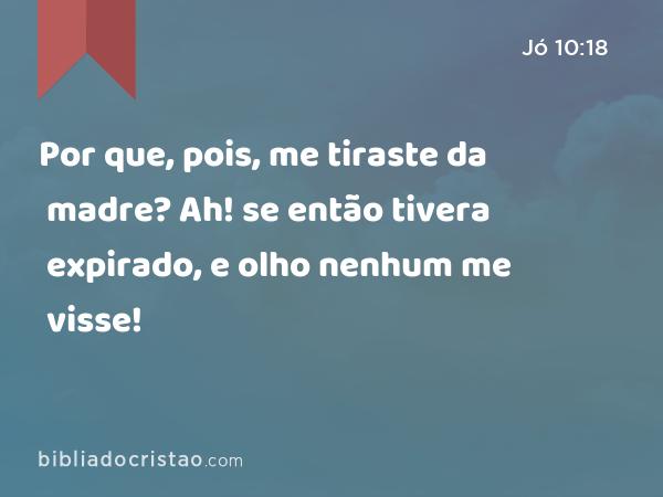 Por que, pois, me tiraste da madre? Ah! se então tivera expirado, e olho nenhum me visse! - Jó 10:18